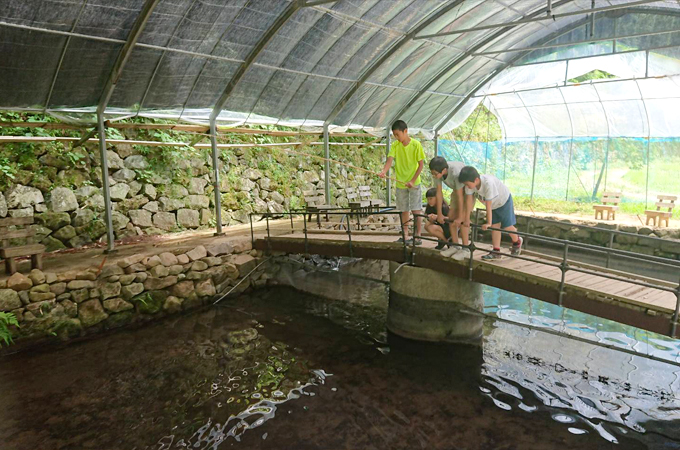 優峰園の釣り堀