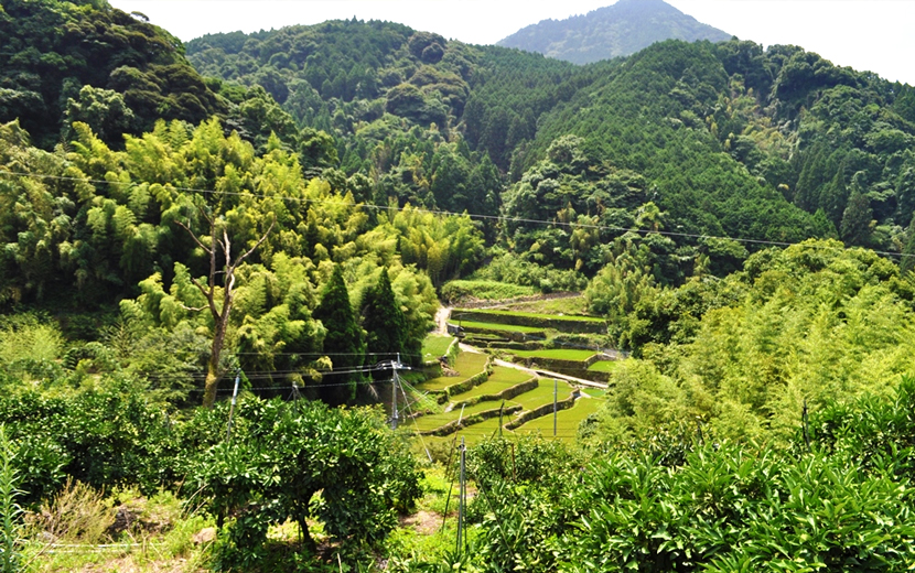 優峰園からの景色